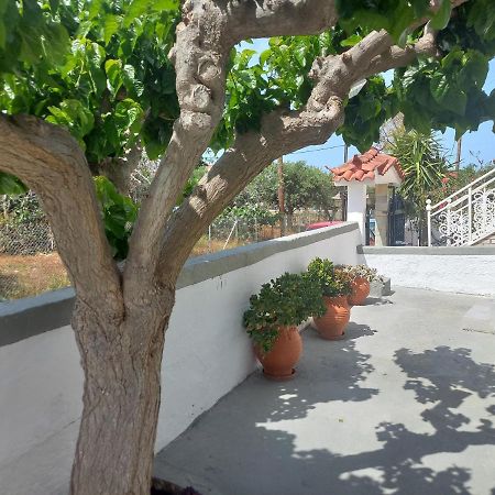Mulberry House Hotel Elafonissos Exterior foto